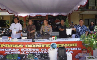 uploads/news/2025/10/tanam-hidroponik-ganja-wna-844378b88a148cc_400.jpeg