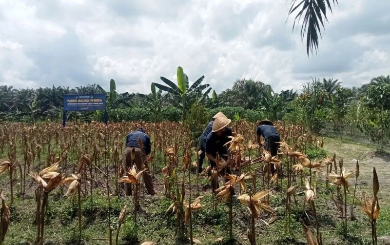 uploads/news/2025/10/warga-binaan-lapas-muara-18489773938234d.jpeg