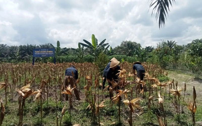 uploads/news/2025/10/warga-binaan-lapas-muara-18489773938234d_400.jpeg