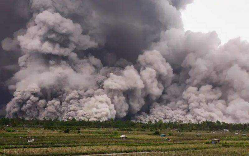 uploads/news/2025/11/204-hektare-lahan-rusak-499605222d6aa10.png