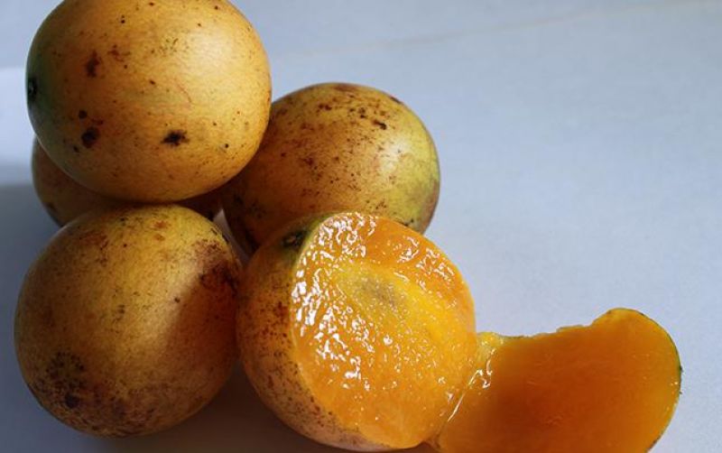 uploads/news/2025/11/5-manfaat-buah-gandaria-5739472950620ab.jpg