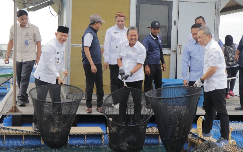 uploads/news/2025/11/budidaya-ikan-laut-kepualauan-83635d224ed73dd.jpg