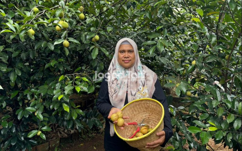 uploads/news/2025/11/cerita-wanita-tani-kampung-28774ead0927b40.jpeg
