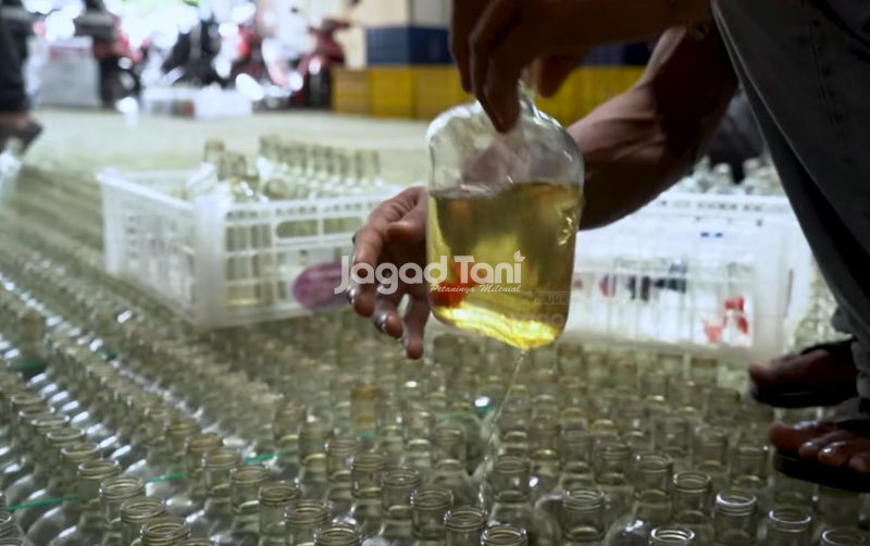 uploads/news/2025/11/efisiensi-lahan-ternak-cupang-5924534974d5ee5.png