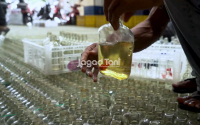 uploads/news/2025/11/efisiensi-lahan-ternak-cupang-5924534974d5ee5_400.png