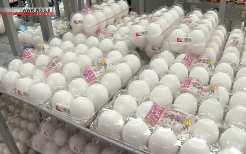 uploads/news/2025/11/indeks-harga-konsumen-tokyo-207530f5bcff86e.png