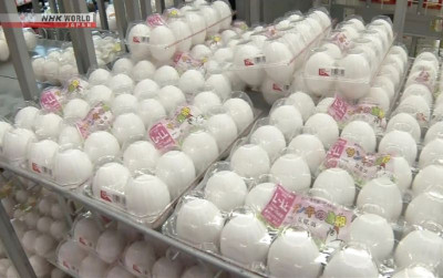 uploads/news/2025/11/indeks-harga-konsumen-tokyo-207530f5bcff86e_400.png