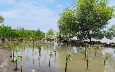 uploads/news/2025/11/indonesia-dan-korsel-bahas-38765c372eadd78_400.jpeg