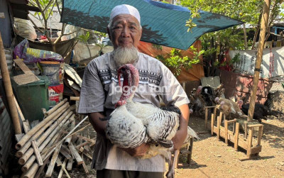uploads/news/2025/11/jenis-kalkun-harga-mahal-95118f0bf13fa07_400.jpeg
