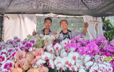 uploads/news/2025/11/kebun-anggrek-di-tawangmangu-2105170cfb7bd63_400.jpg