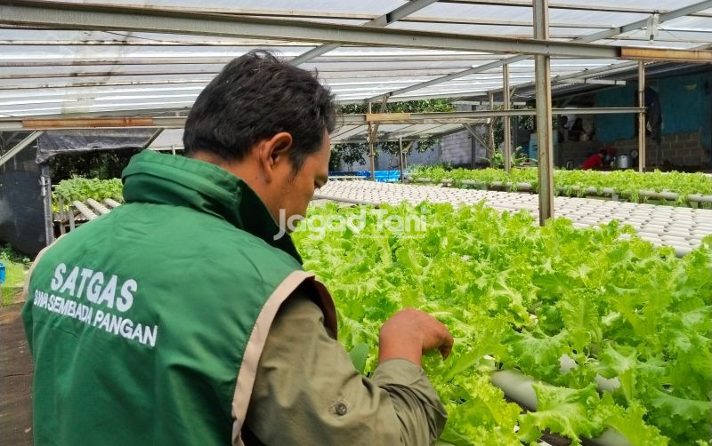 uploads/news/2025/11/kembangkan-pertanian-terpadu-dan-23160679fc0e1e3.jpg