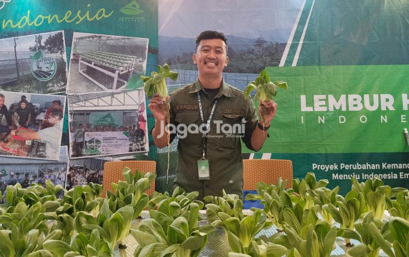 uploads/news/2025/11/lembur-hejo-indonesia-terapkan-16860701bc97936.jpg