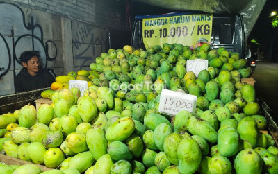 uploads/news/2025/11/panen-raya-harga-mangga-8684139bd128ba5_400.jpg