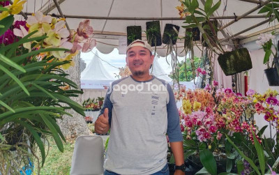 uploads/news/2025/11/perbedaan-iklim-jadi-kunci-274391020252a6f_400.jpeg