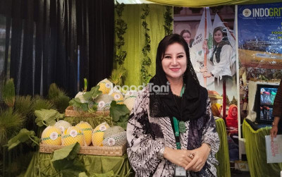 uploads/news/2025/11/perempuan-tani-dorong-kemandirian-522809d032e4190_400.jpg