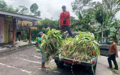 uploads/news/2025/11/peternakan-terdampak-erupsi-semeru--22909ebe698073e_400.png