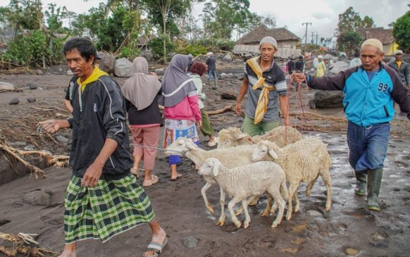 uploads/news/2025/11/ratusan-warga-lumajang-terdampak-349893af84a66a2.jpeg