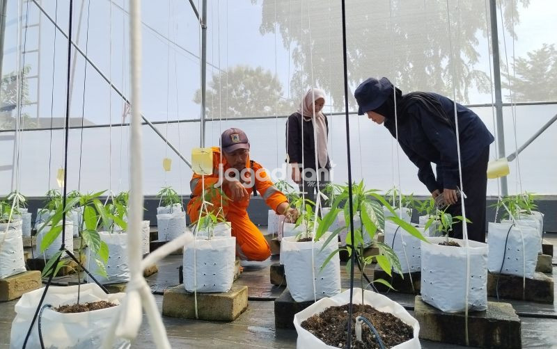 uploads/news/2025/11/sulap-lahan-bekas-tps-4329934f472990c.jpg