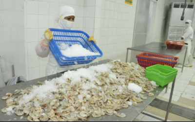 uploads/news/2025/11/udang-indonesia-kembali-diterima-349548908f3b242_400.png