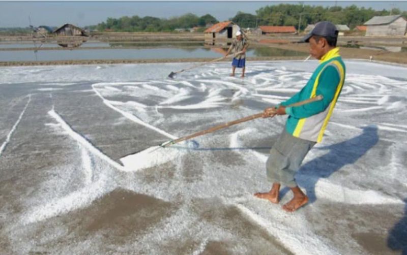 uploads/news/2025/12/10-kecamatan-penghasil-garam-86459a3be63ab79.png