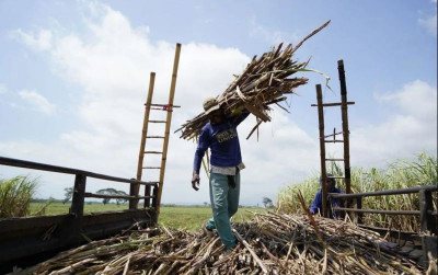 uploads/news/2025/12/2026-tidak-ada-impor-73659a9e68f5463_400.jpeg