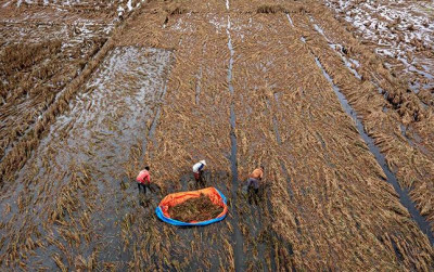 uploads/news/2025/12/82-hektar-sawah-tapanuli-896022934481203_400.jpg