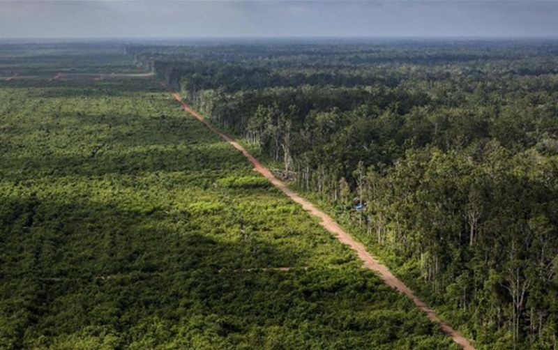 uploads/news/2025/12/gakkum-telusuri-kerusakan-hutan-35885e6f08f5046.png