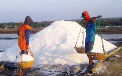 uploads/news/2025/12/garam-sumenep-identitas-dan-119975114f3ac82_400.jpg