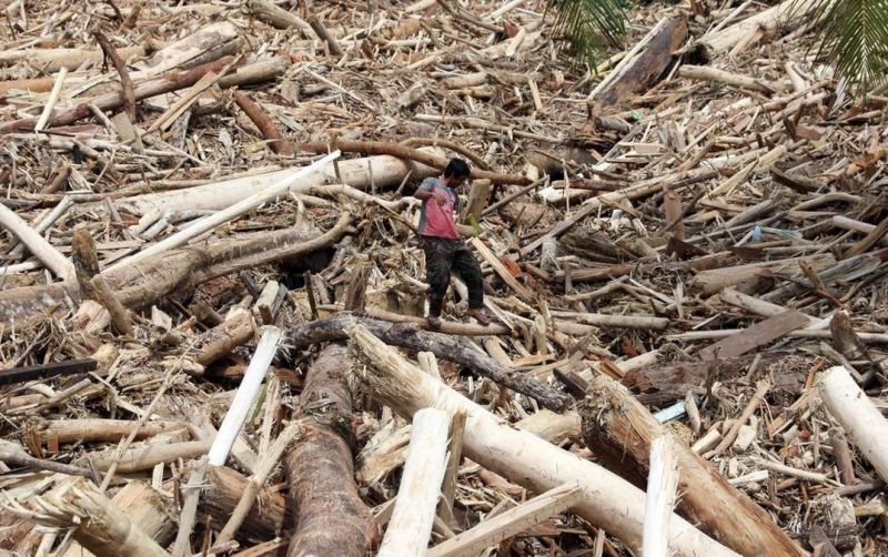 uploads/news/2025/12/gelondongan-kayu-menumpuk-di-93493eda0f8296e.jpeg