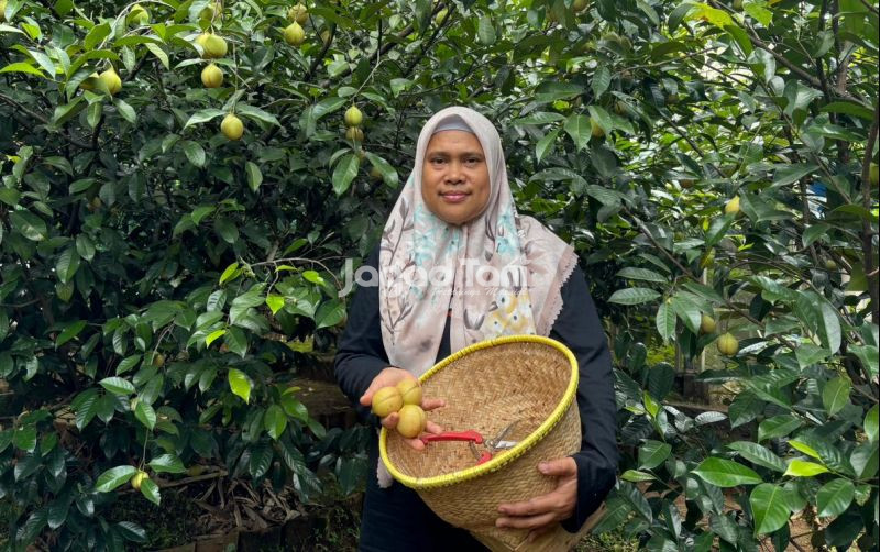 uploads/news/2025/12/hidupkan-kembali-olahan-pala-698973b1128dd3d.jpeg