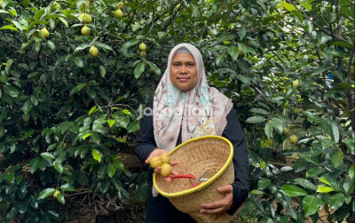 uploads/news/2025/12/hidupkan-kembali-olahan-pala-698973b1128dd3d_400.jpeg