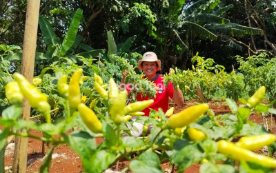 uploads/news/2025/12/jelang-nataru-sejumlah-wilayah-57832f496ce7947_400.jpg