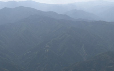 uploads/news/2025/12/jepang-wajibkan-pembeli-hutan-48276d63cbcbb9d_400.png