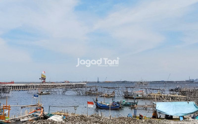 uploads/news/2025/12/kkp-ingatkan-nelayan-kondisi-68353467660e23f_400.jpg