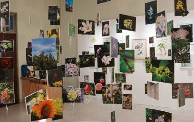 uploads/news/2025/12/pameran-botanical-art-sebagai-4670743ecf2a556_400.png