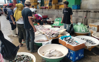 uploads/news/2025/12/pantauan-harga-ikan-di-13881a5f08ad57d_400.jpg
