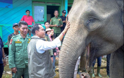 uploads/news/2025/12/pengembangan-plg-twa-seblat-sebagai-681297b38f32705_400.jpg