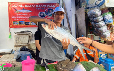 uploads/news/2025/12/produksi-perikanan-budi-daya-12548d54210c8a2_400.jpg