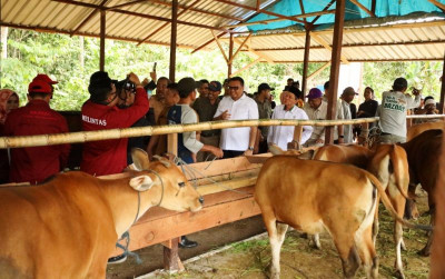 uploads/news/2025/12/rumah-kompos-lestari-kutai-3616011dd78d158_400.jpg