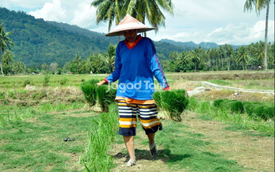 uploads/news/2025/12/sigi-alokasikan-1-200-hektare-13887560a94d4db_400.jpg