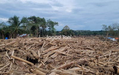 uploads/news/2025/12/tumpukan-kayu-gelondongan-memenuhi-81959318d4853fb_400.jpeg