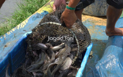 uploads/news/2026/01/banjir-aceh-timur-kerugian-40348f61cc01348_400.jpeg