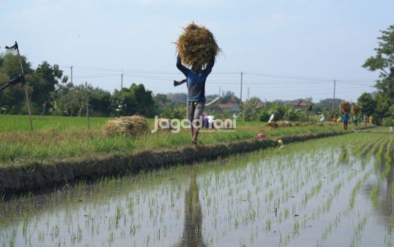 uploads/news/2026/01/cara-klaim-asuransi-jika-542876fb3bc0dce.jpeg