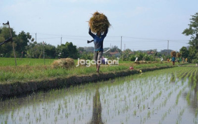 uploads/news/2026/01/cara-klaim-asuransi-jika-542876fb3bc0dce_400.jpeg