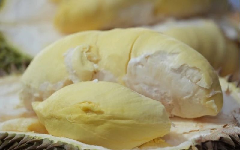 uploads/news/2026/01/durian-beku-indonesia-resmi-92925422f32d9ed.png