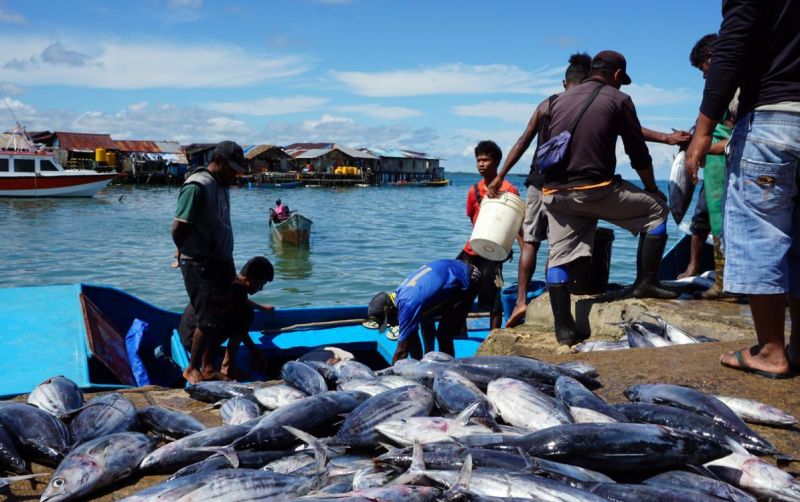 uploads/news/2026/01/ekpor-ikan-ke-taiwan-korsel-50502533bb328a8.jpg