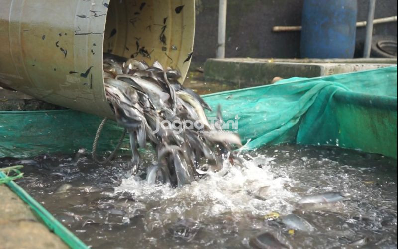 uploads/news/2026/01/empat-negara-tujuan-ekspor-5522122087fb26d.jpeg