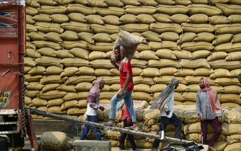 uploads/news/2026/01/harga-beras-india-tertinggi--802051afb94e456.jpg
