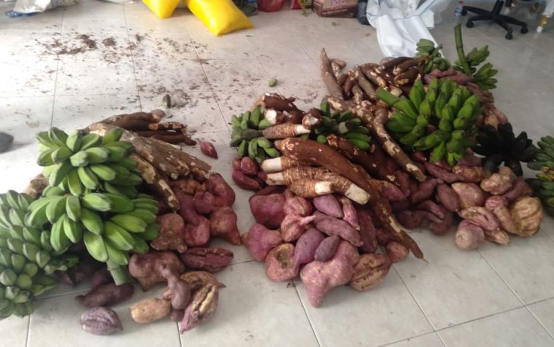 uploads/news/2026/01/hipere-hingga-keladi-panganan-80838835b1404e1.jpeg