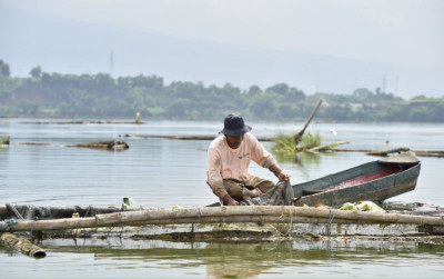 uploads/news/2026/01/ikan-lempuk-jadi-primadona-129982ef469f2f9_400.png